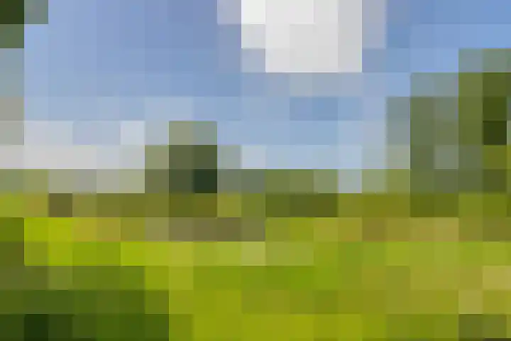Amaranthout 5 Zoetermeer thumbnail 38