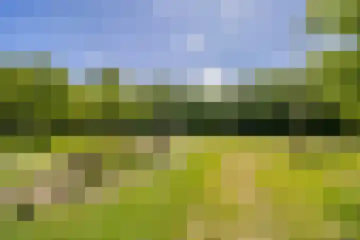 Amaranthout 5 Zoetermeer thumbnail 39