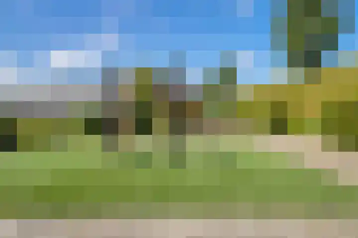Amaranthout 5 Zoetermeer thumbnail 40