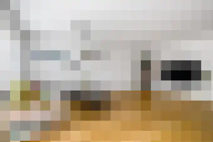 Amaranthout 5 Zoetermeer thumbnail 5