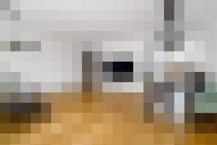 Amaranthout 5 Zoetermeer thumbnail 6
