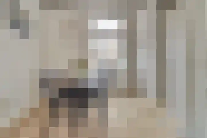 Amaranthout 5 Zoetermeer thumbnail 8