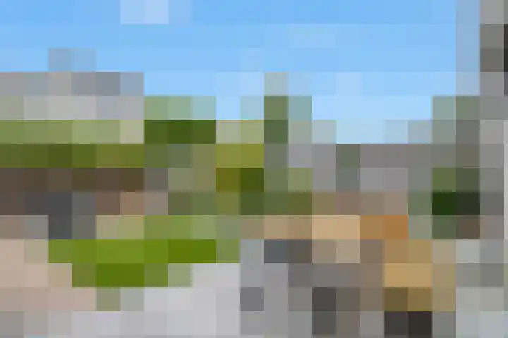 Amaranthout 5 Zoetermeer thumbnail 9