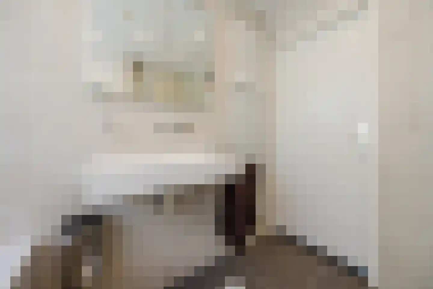 Amarantstraat 2 Tilburg thumbnail 26