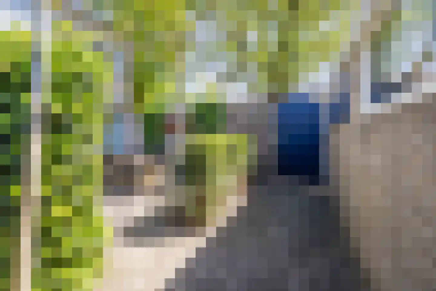 Amarantstraat 2 Tilburg thumbnail 37