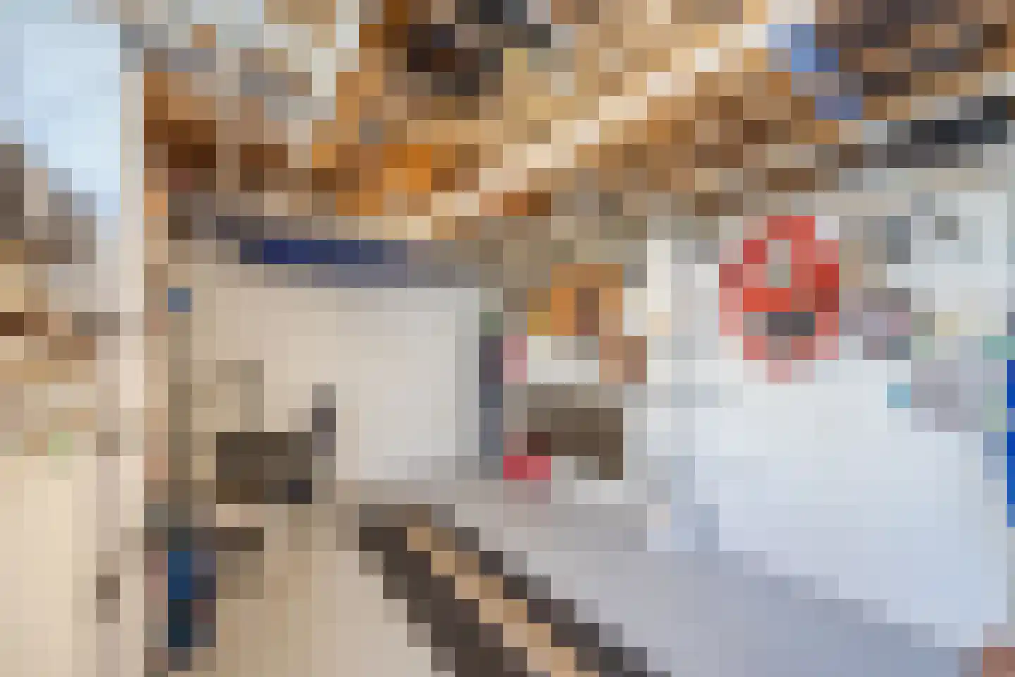 Amarantstraat 2 Tilburg thumbnail 38