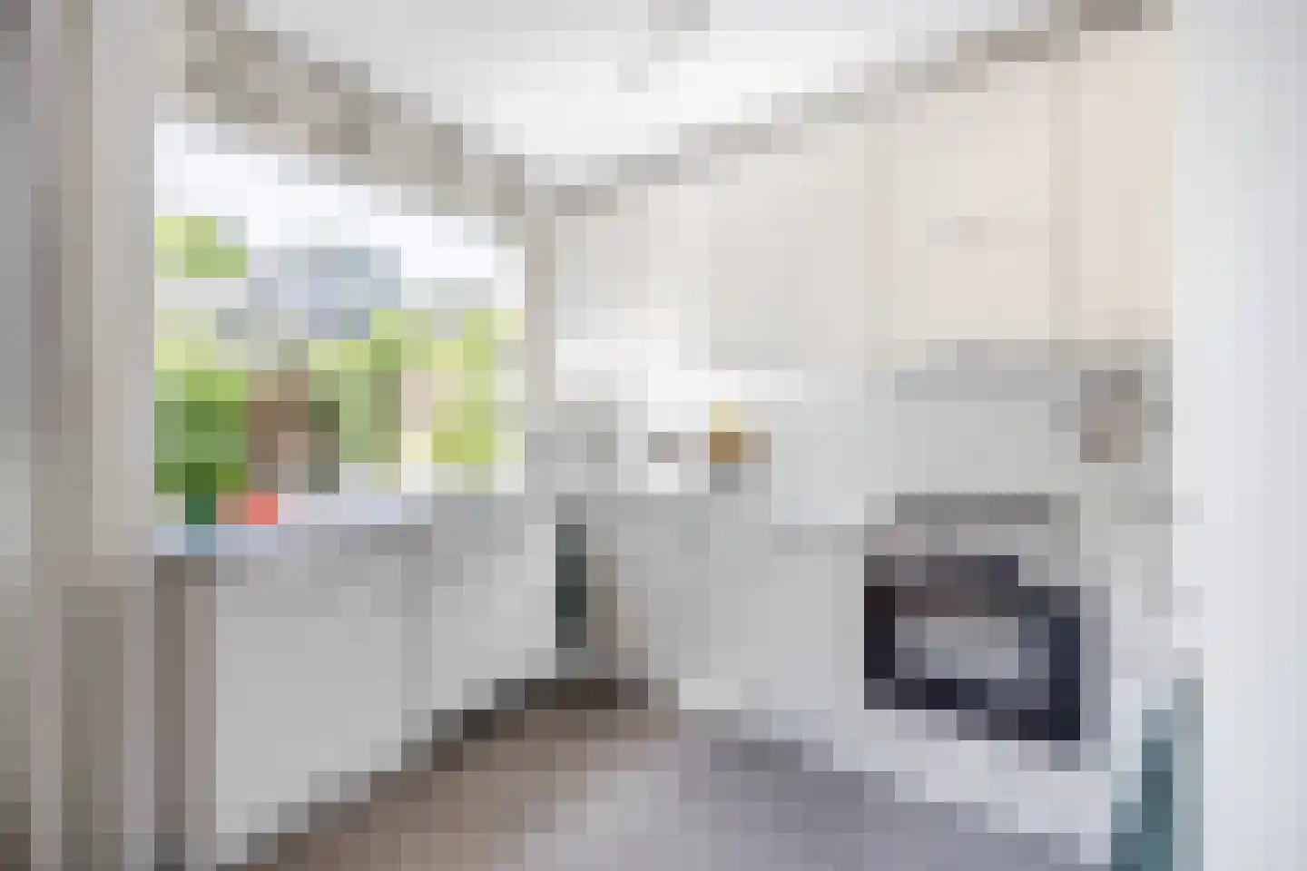 Amarantstraat 2 Tilburg thumbnail 7