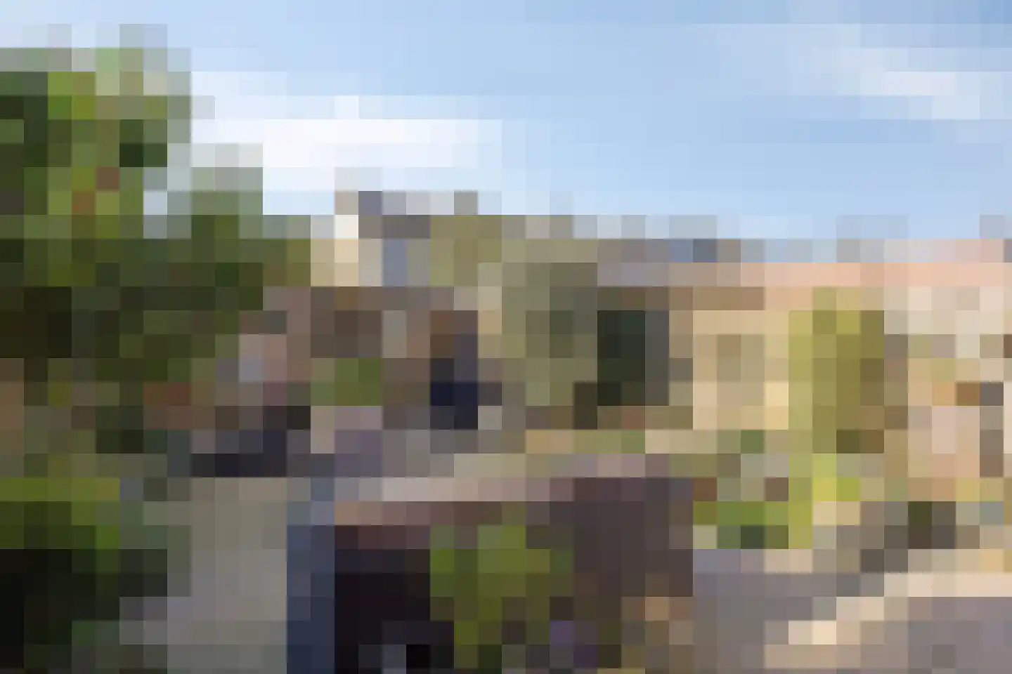 Amarantstraat 52 Tilburg thumbnail 34