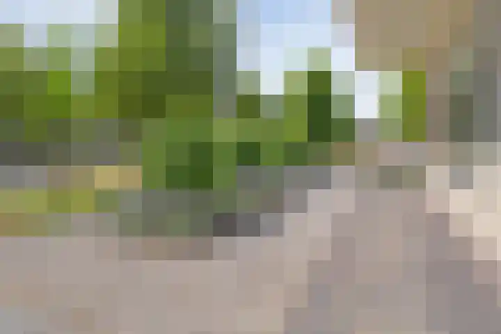 Amarilpad 10 IJsselstein thumbnail 11