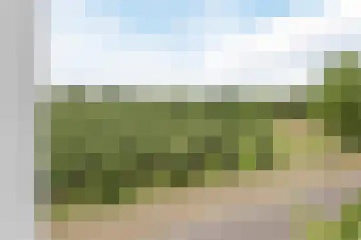 Amarilpad 10 IJsselstein thumbnail 15