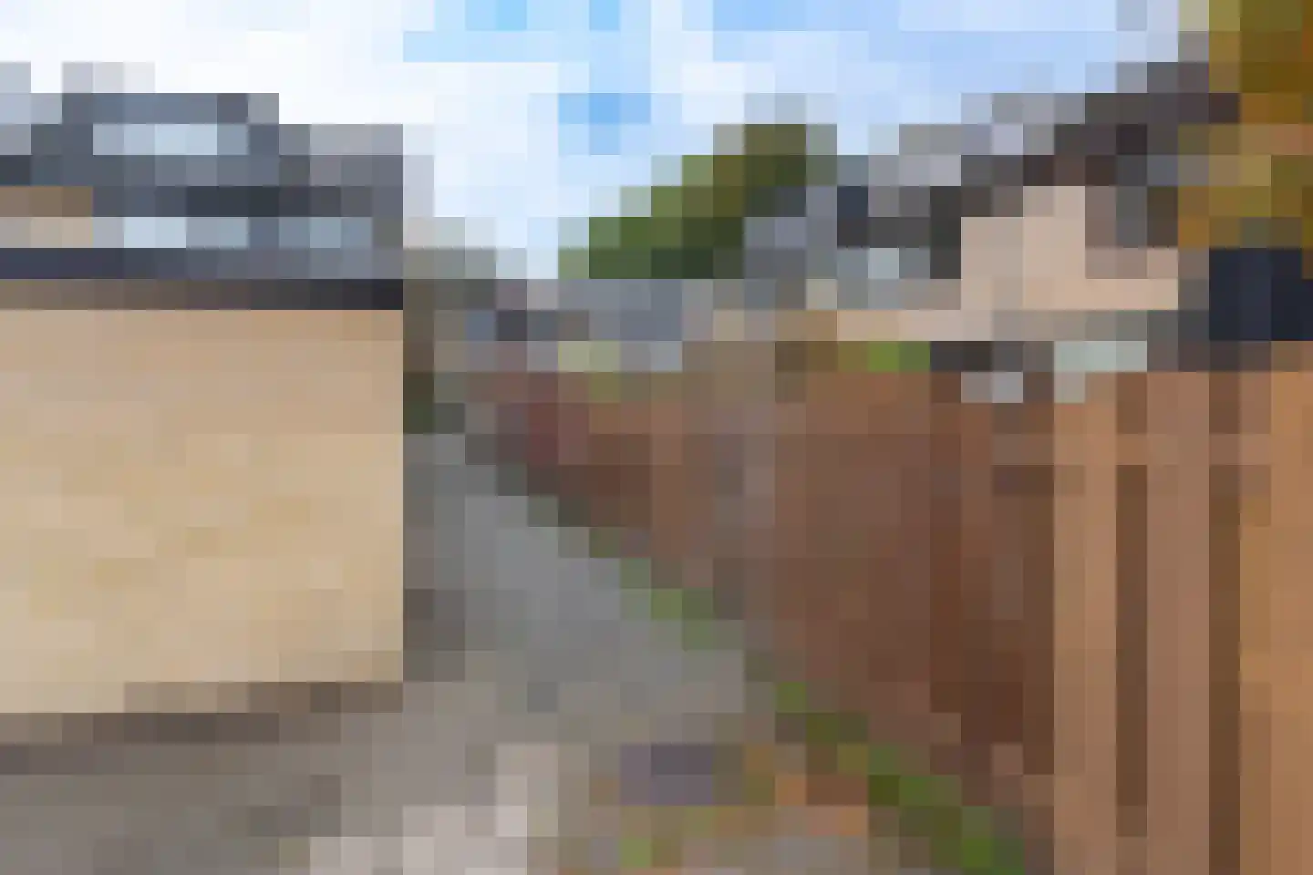 Amarilpad 10 IJsselstein thumbnail 19