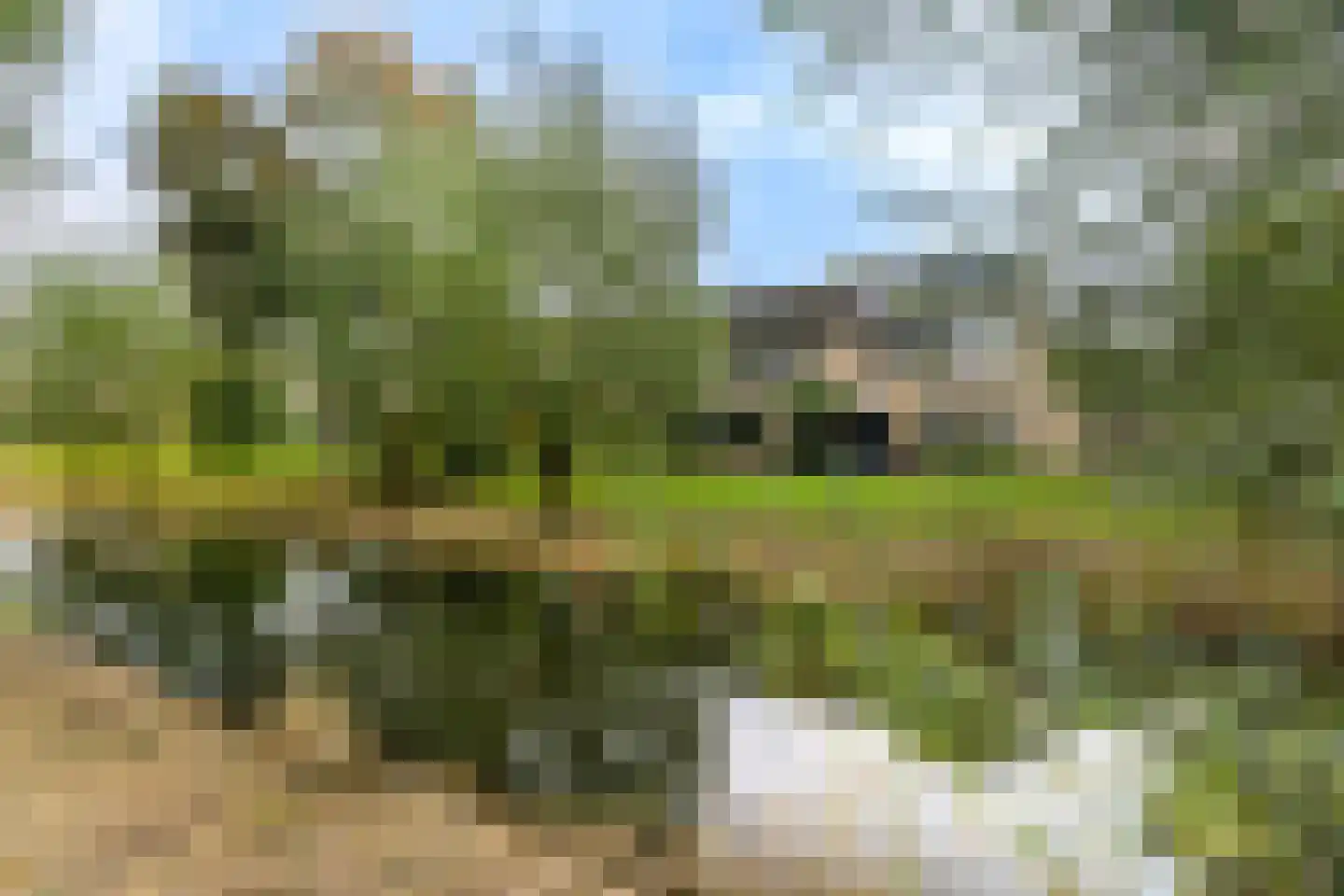 Amarilpad 10 IJsselstein thumbnail 38