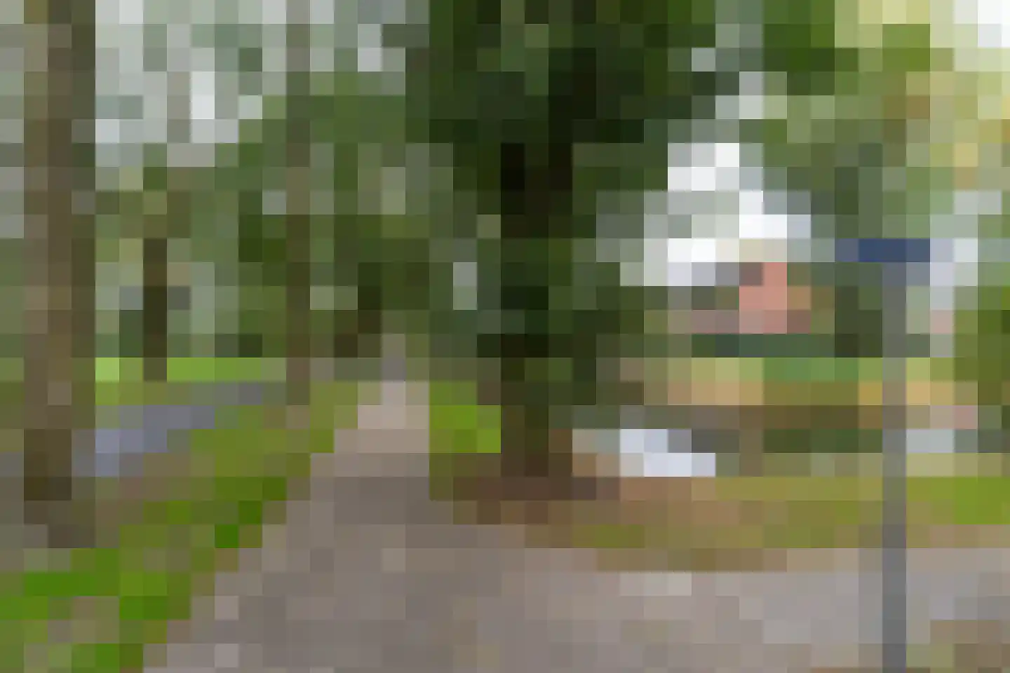 Amarilpad 10 IJsselstein thumbnail 40
