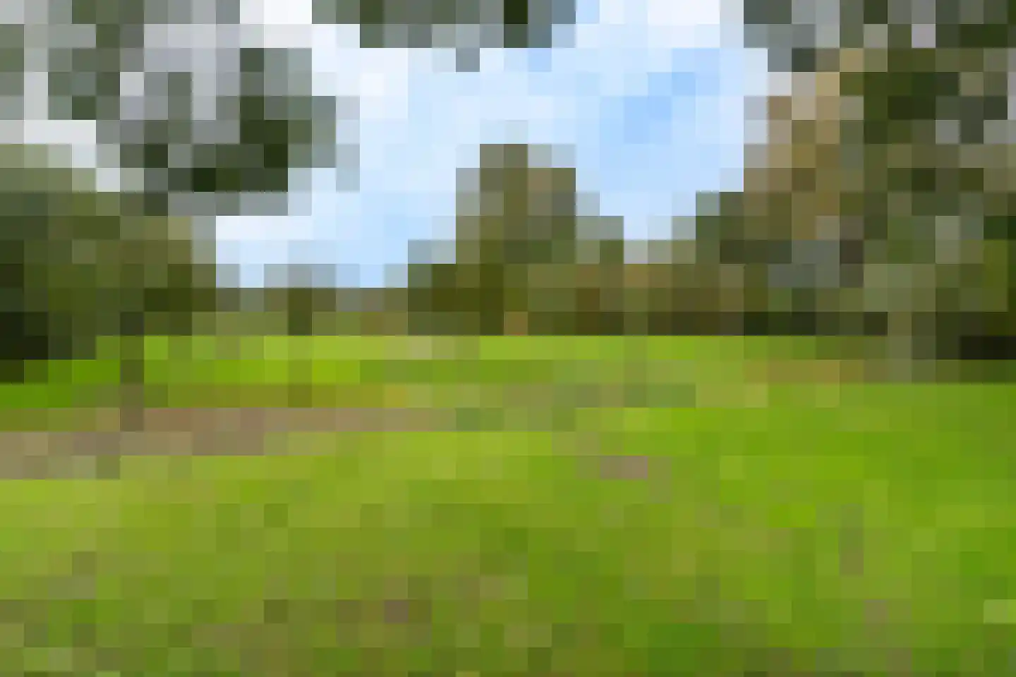Amarilpad 10 IJsselstein thumbnail 41