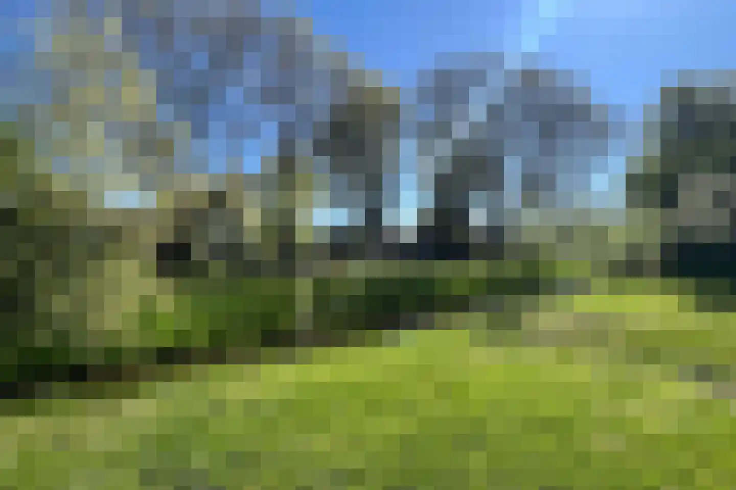 Amarilpad 7 IJsselstein thumbnail 40