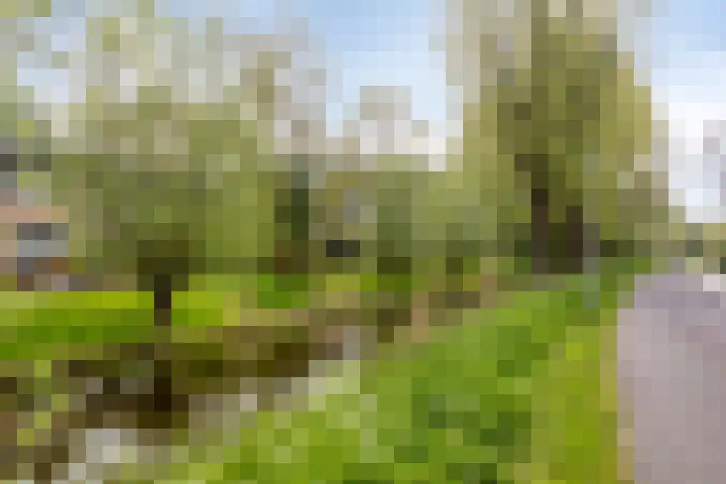 Amarilpad 7 IJsselstein thumbnail 42