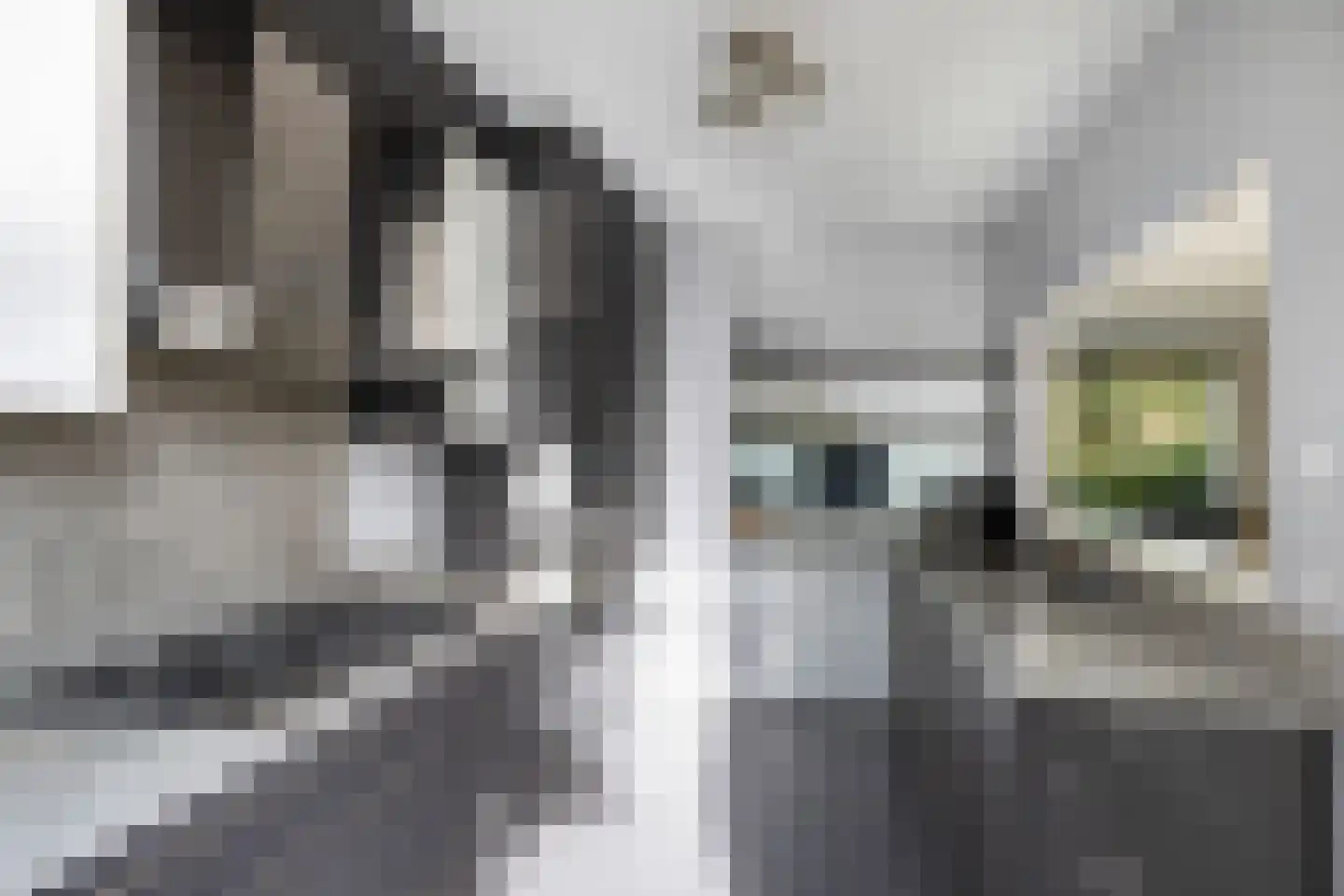 Amarilpad 8 IJsselstein thumbnail 17