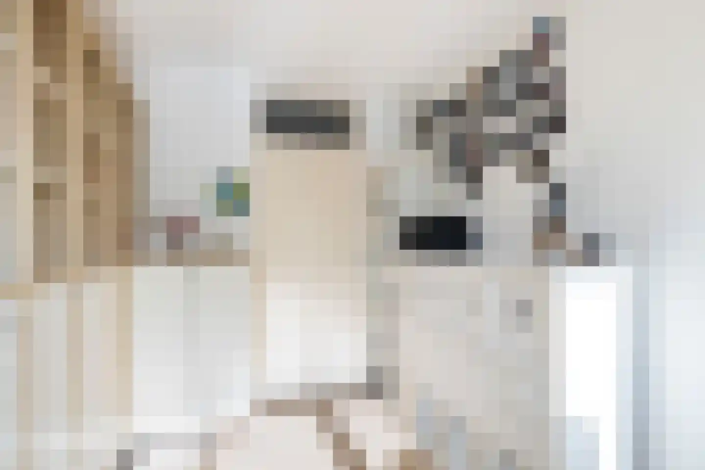 Amarilpad 8 IJsselstein thumbnail 27