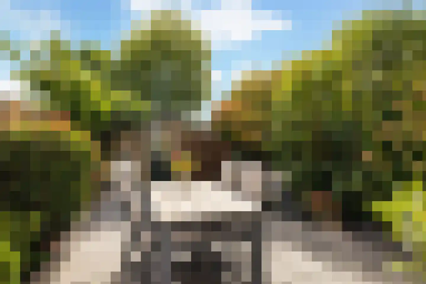 Amarilpad 8 IJsselstein thumbnail 42