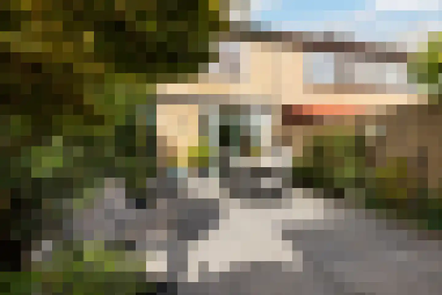 Amarilpad 8 IJsselstein thumbnail 46