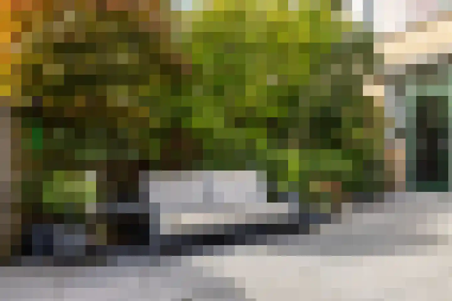 Amarilpad 8 IJsselstein thumbnail 48