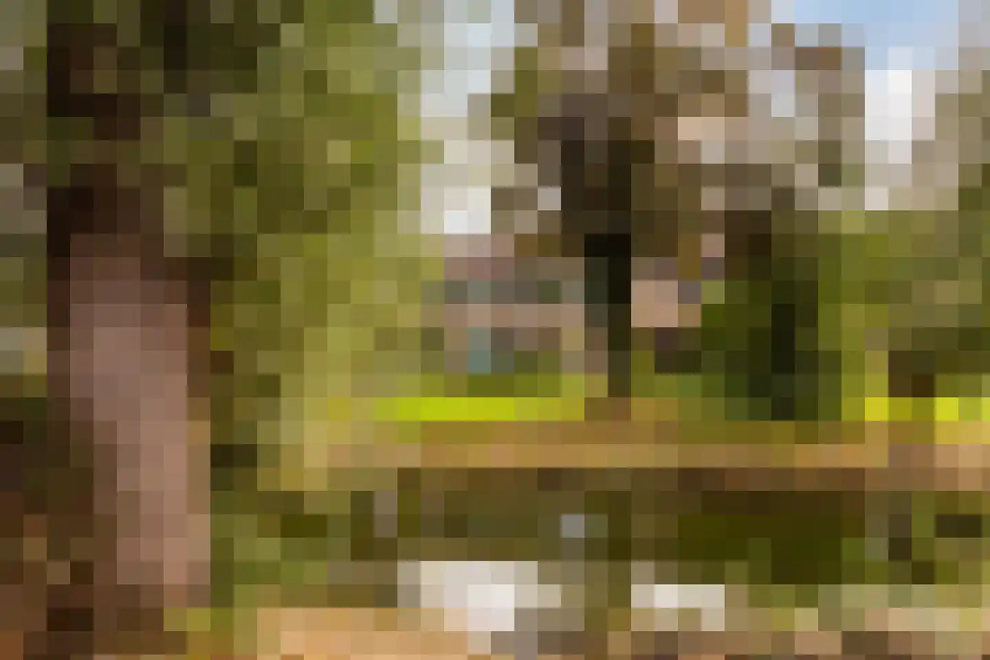 Amarilpad 8 IJsselstein thumbnail 50