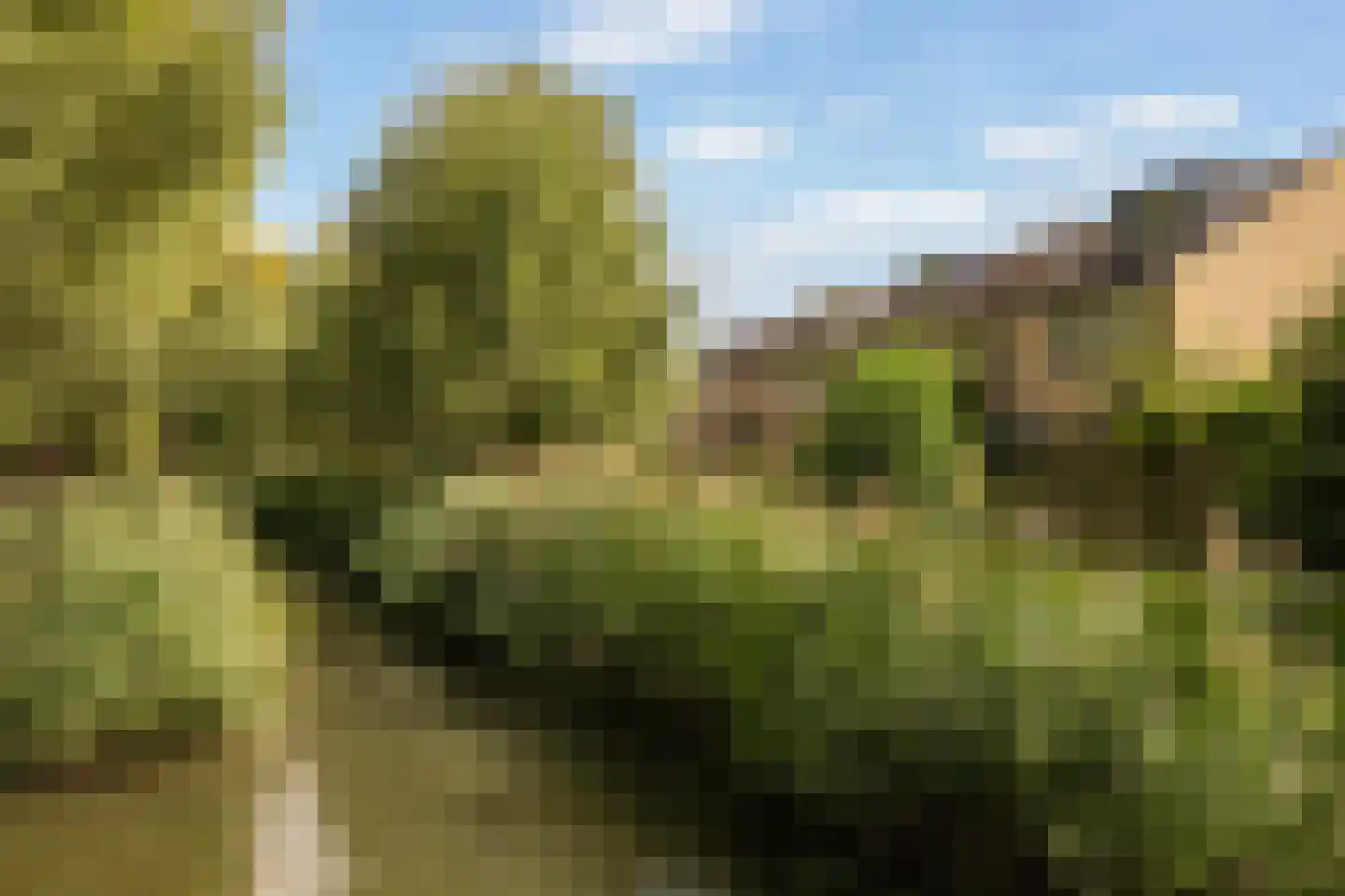 Amarilpad 8 IJsselstein thumbnail 51