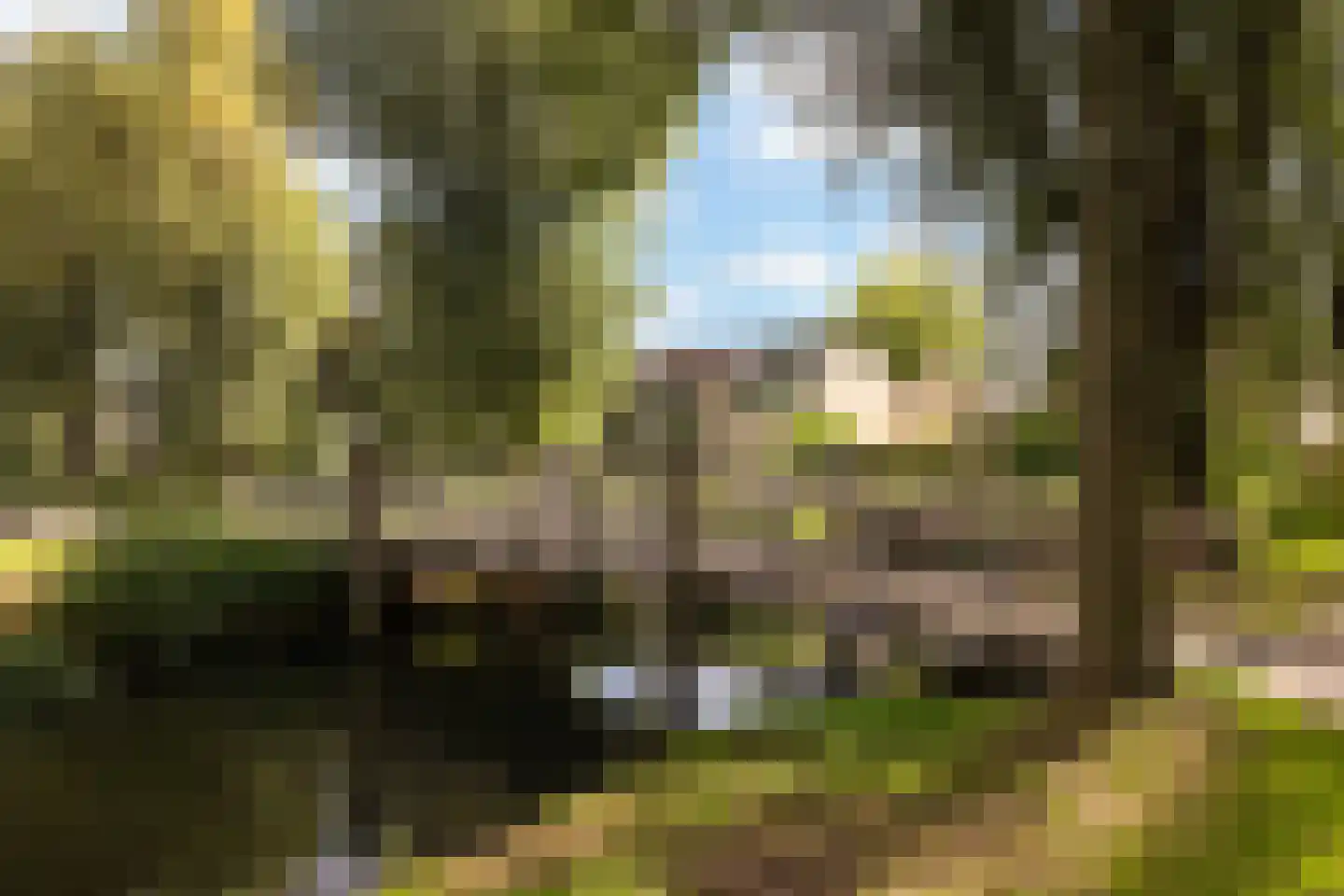Amarilpad 8 IJsselstein thumbnail 52