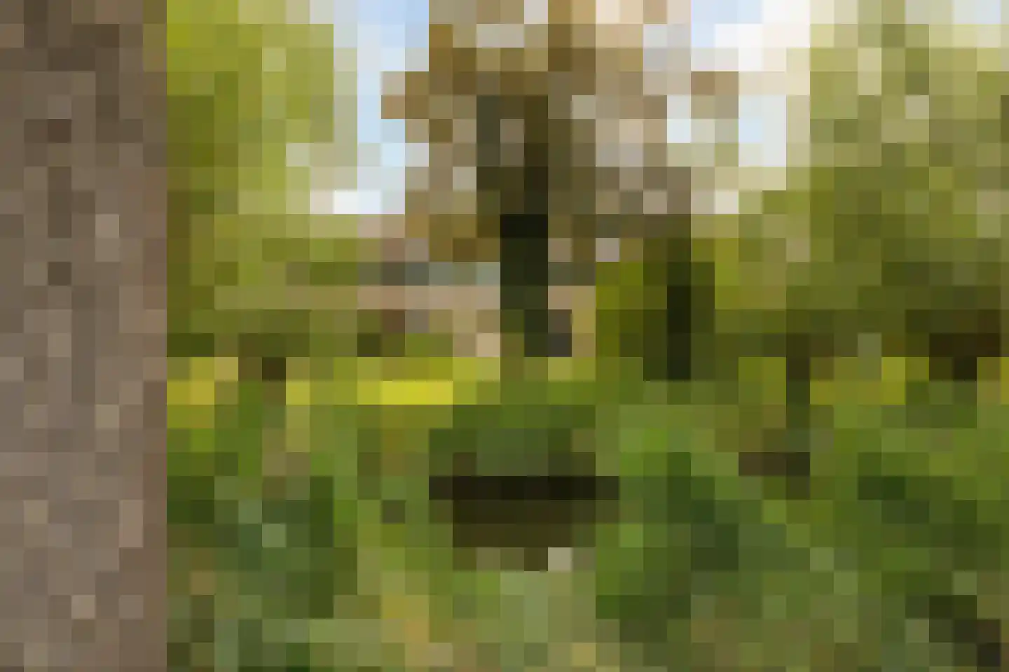 Amarilpad 8 IJsselstein thumbnail 53