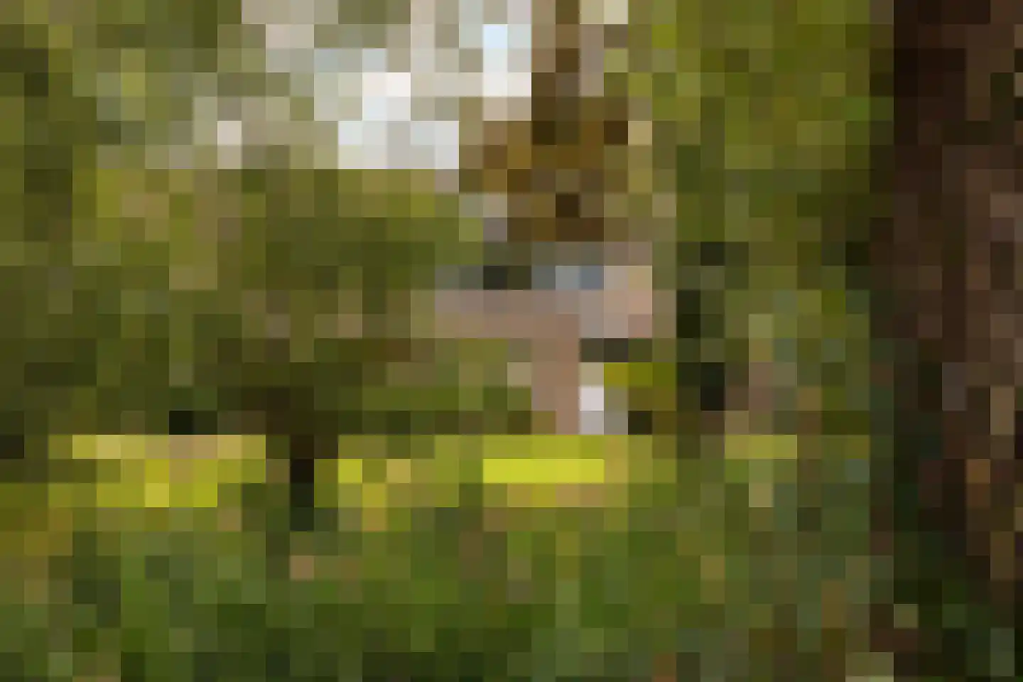 Amarilpad 8 IJsselstein thumbnail 54