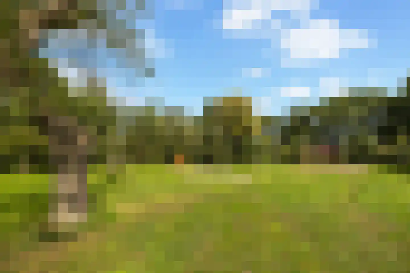 Amarilpad 8 IJsselstein thumbnail 55
