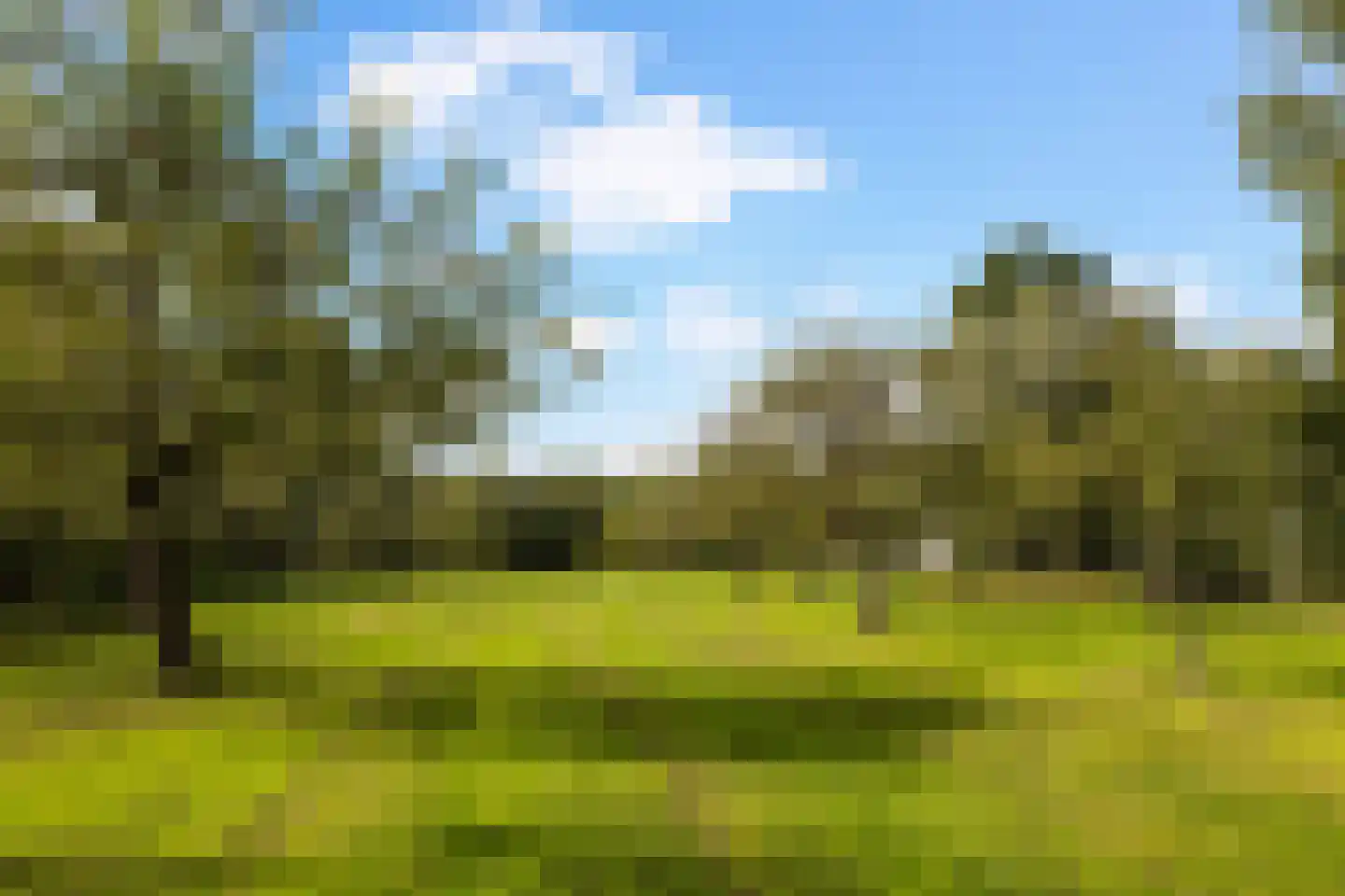 Amarilpad 8 IJsselstein thumbnail 56