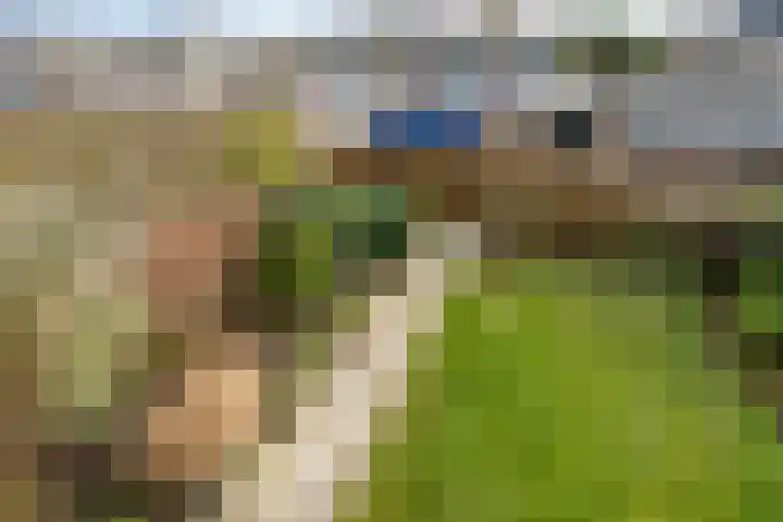 Amarilpad 9 IJsselstein thumbnail 17