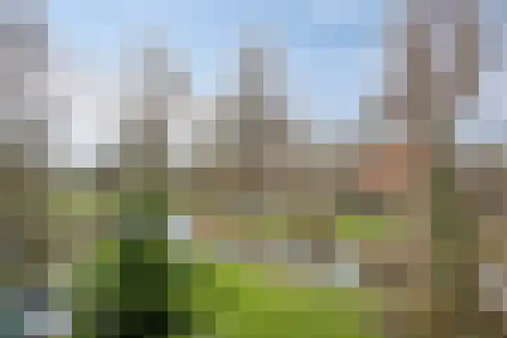 Amarilpad 9 IJsselstein thumbnail 21