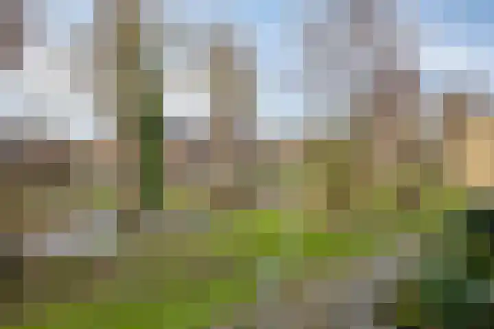 Amarilpad 9 IJsselstein thumbnail 22