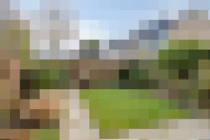 Amarilpad 9 IJsselstein thumbnail 29