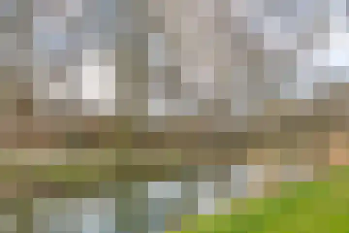 Amarilpad 9 IJsselstein thumbnail 34