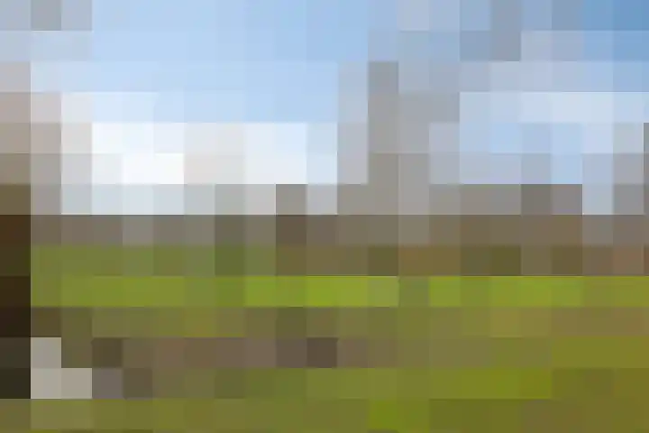 Amarilpad 9 IJsselstein thumbnail 35