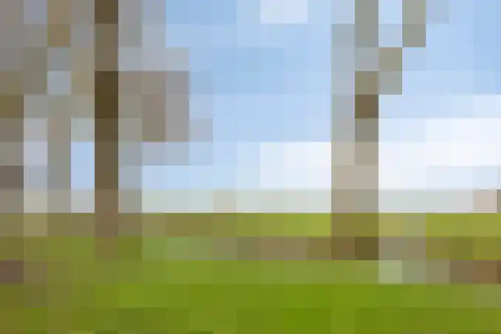 Amarilpad 9 IJsselstein thumbnail 36