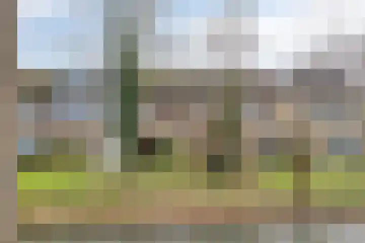 Amarilpad 9 IJsselstein thumbnail 37
