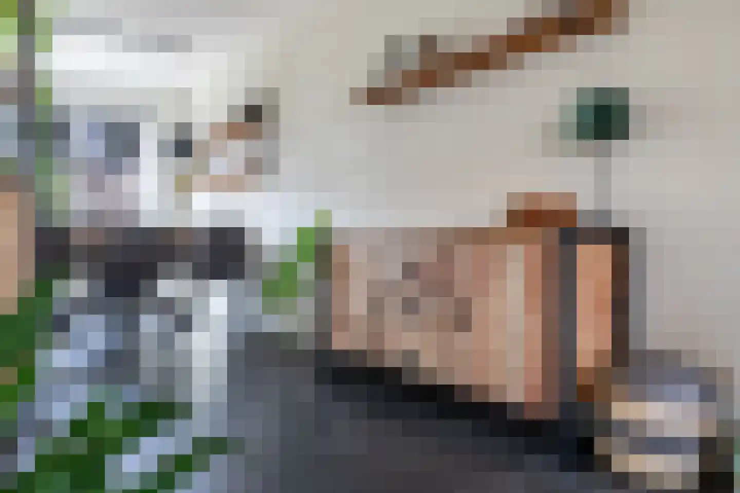 Amarilstoep 2 Assen thumbnail 21