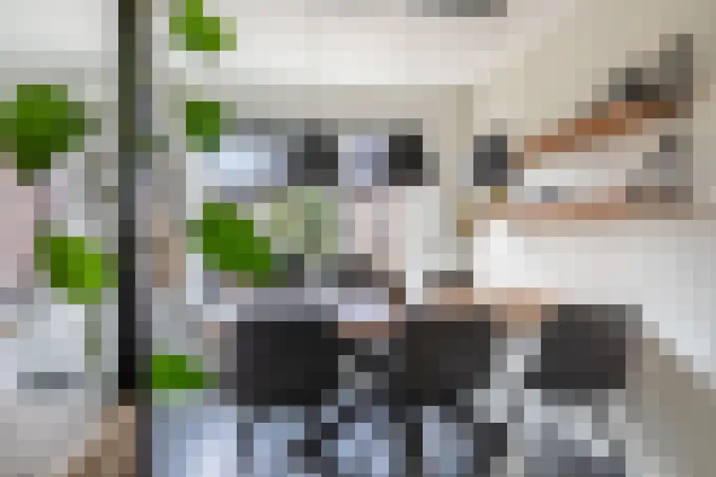 Amarilstoep 2 Assen thumbnail 23