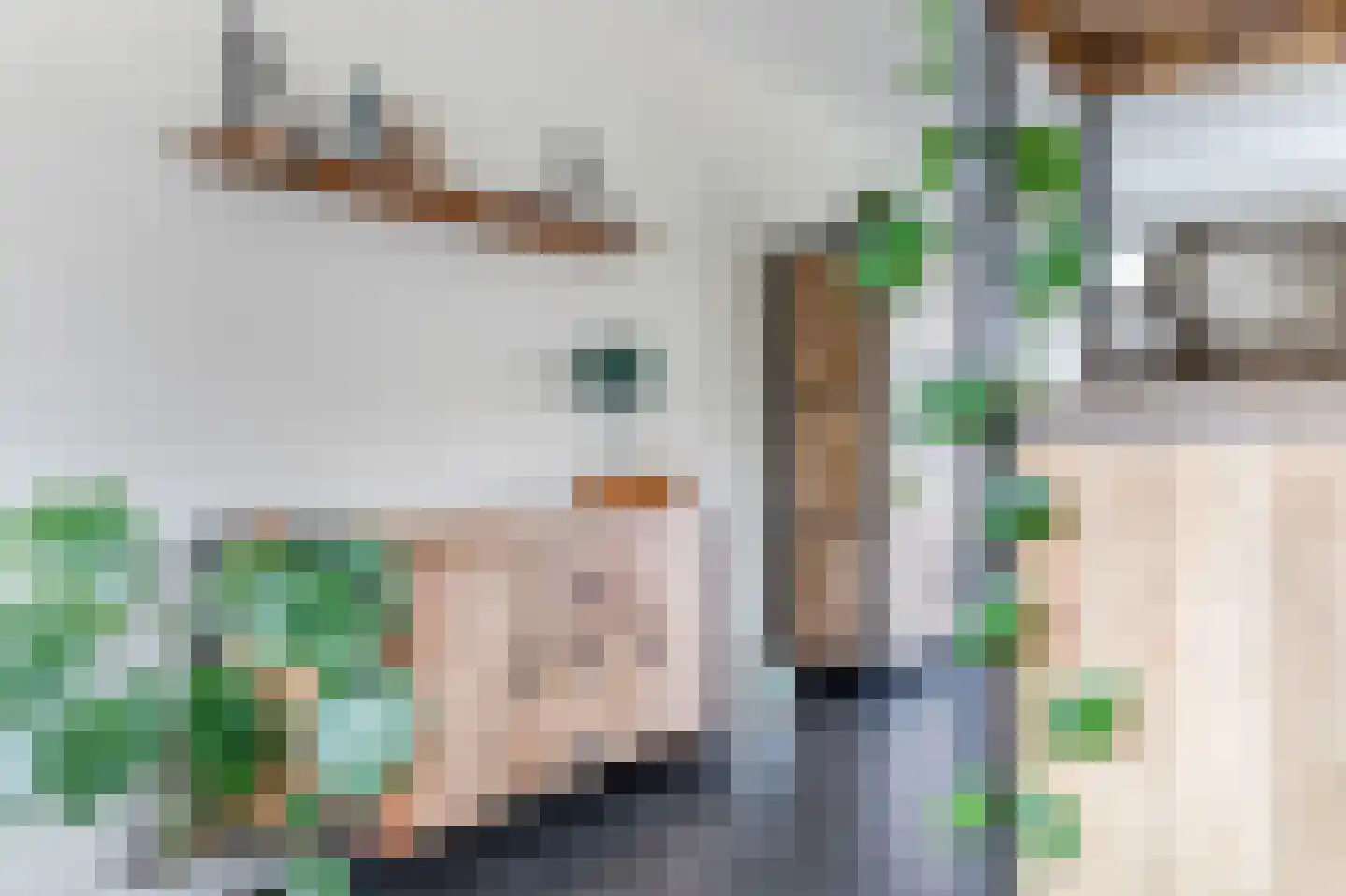 Amarilstoep 2 Assen thumbnail 24