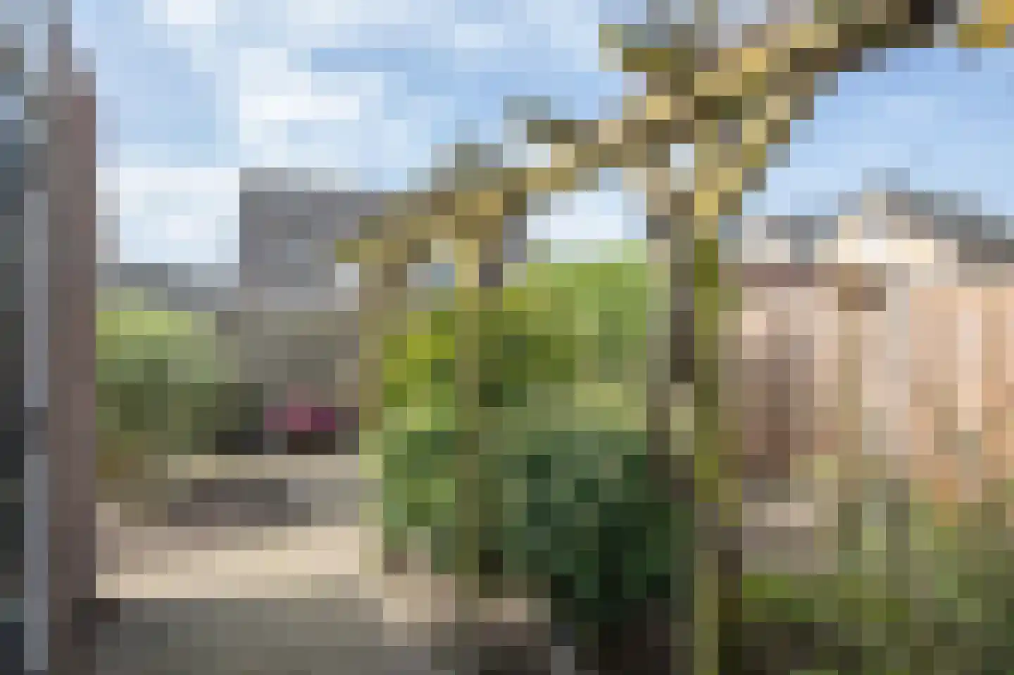Amarilstoep 2 Assen thumbnail 45