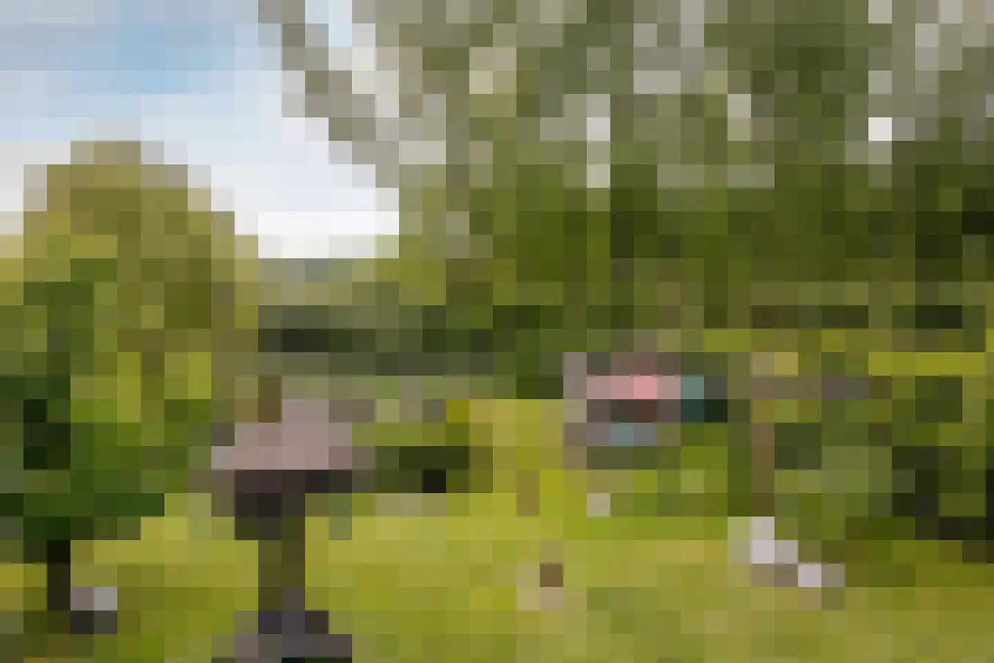 Amaroqweg 87 Almere thumbnail 25