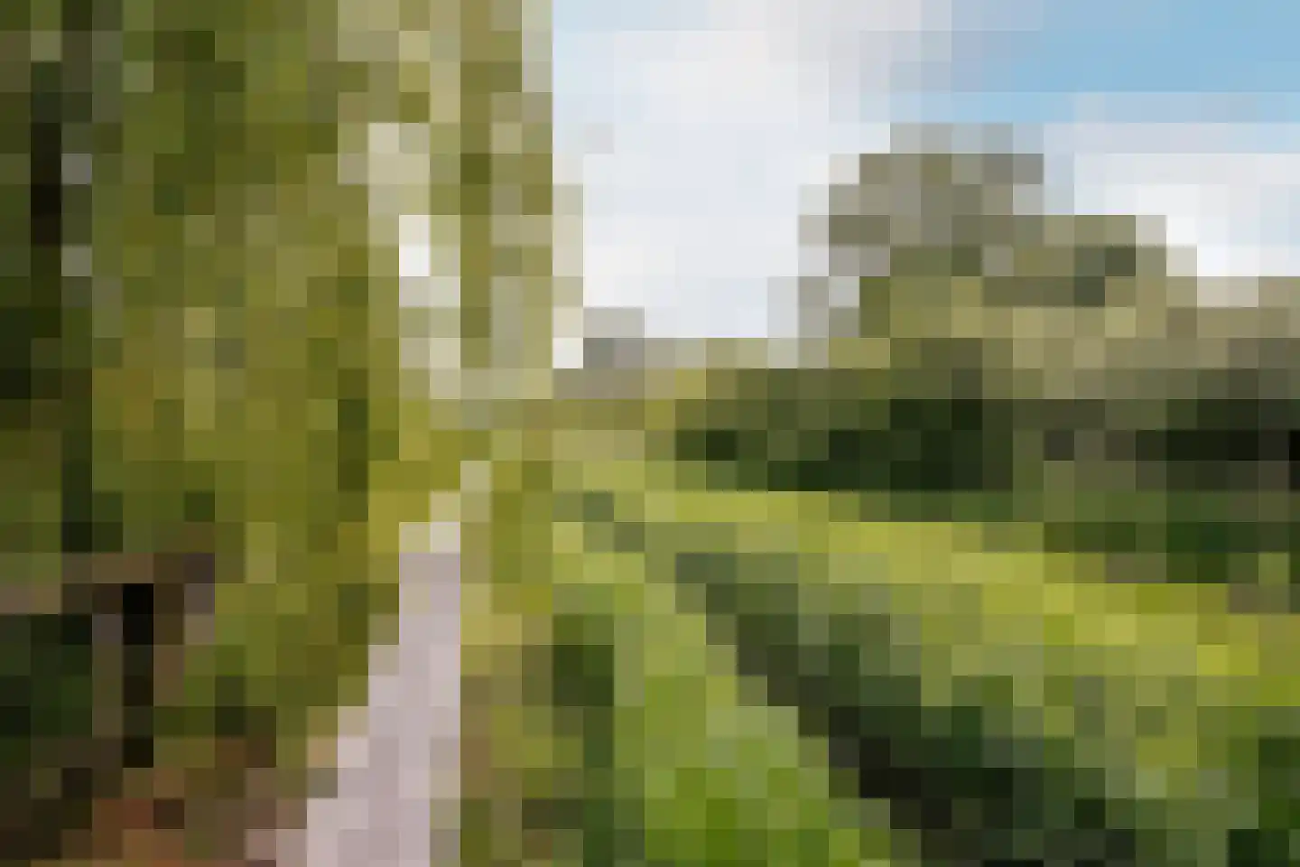 Amaroqweg 87 Almere thumbnail 30