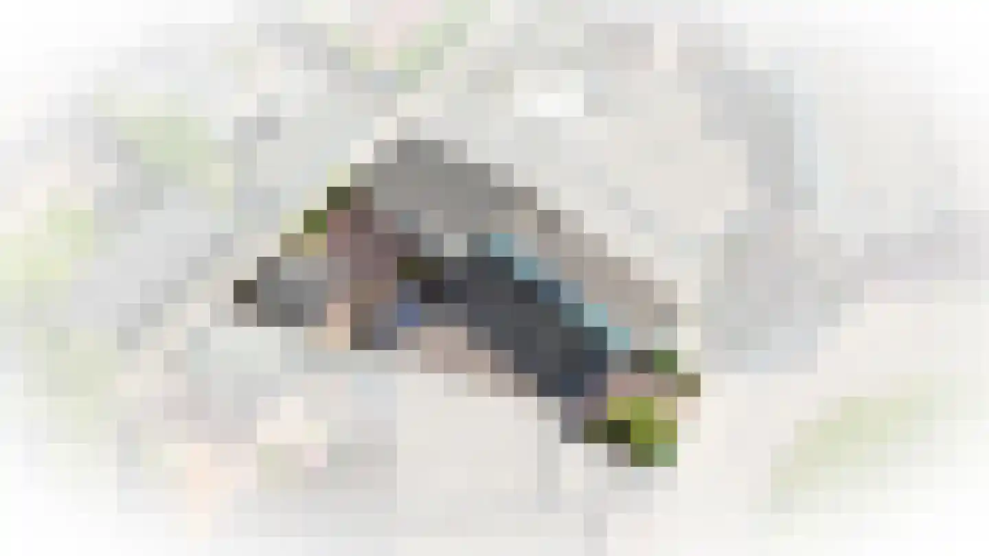Amaryllishof 15 Nieuwendijk thumbnail 32