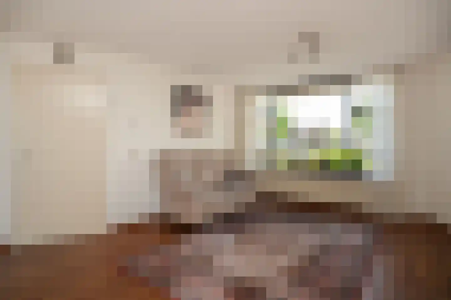 Amaryllishof 15 Nieuwendijk thumbnail 7