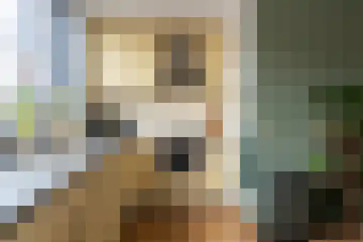Amaryllishof 39 Nieuwendijk thumbnail 12