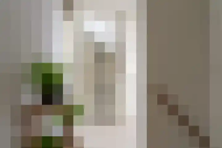 Amaryllishof 39 Nieuwendijk thumbnail 14